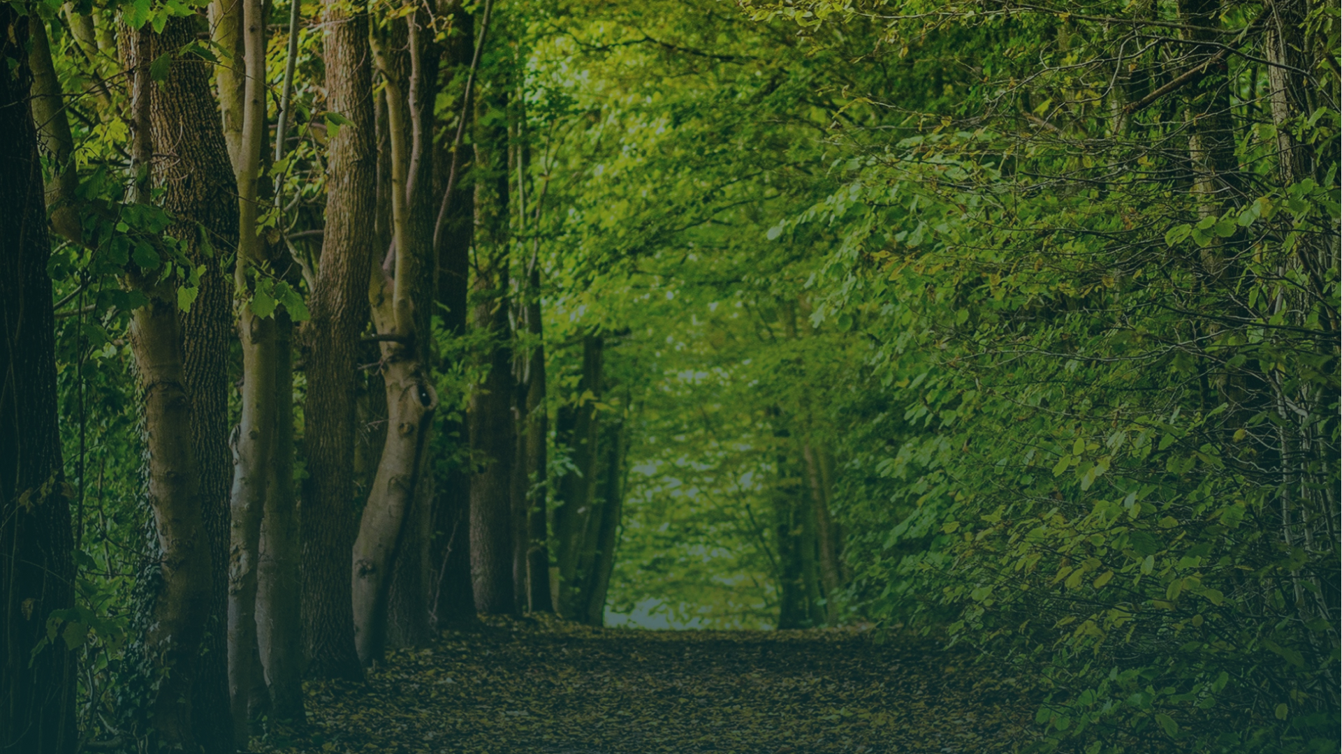 найКращий сімейний відпочинок